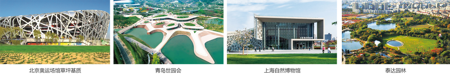 1542862389987707.jpg 肥料图.jpg