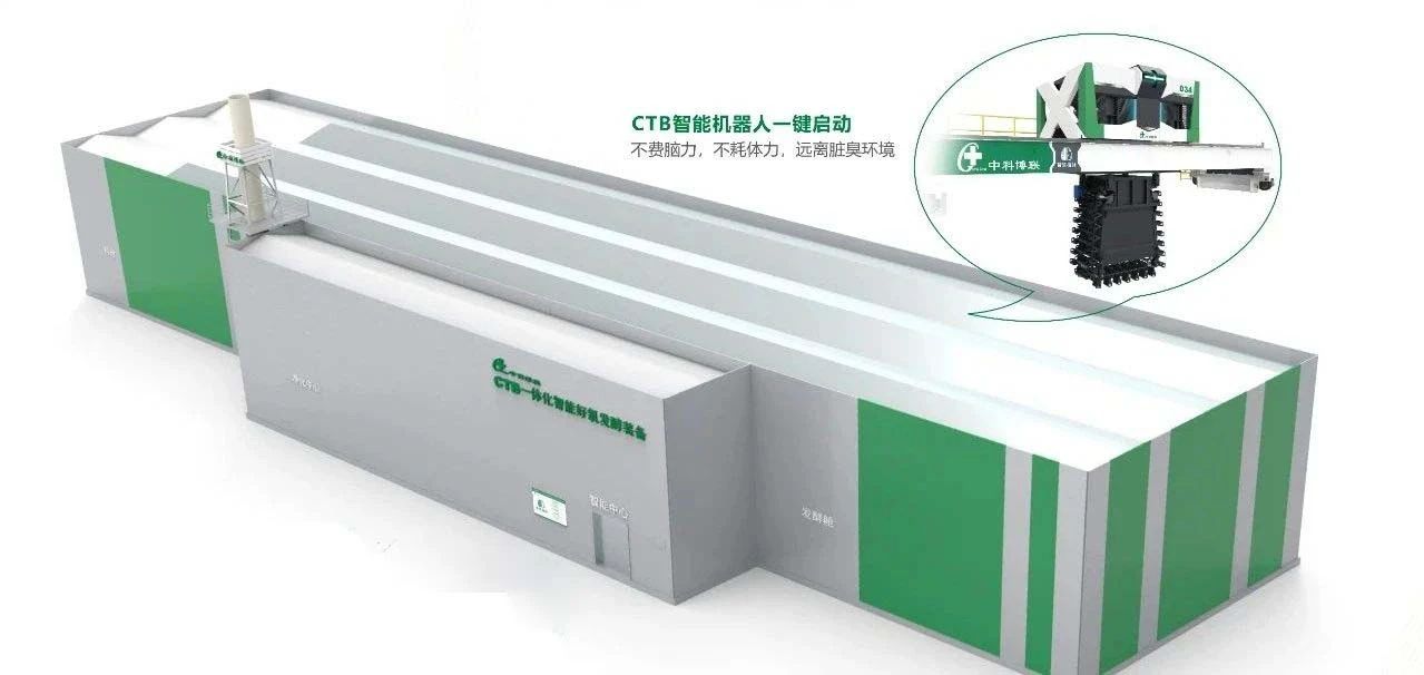 1735541328333597.jpg B2.jpg