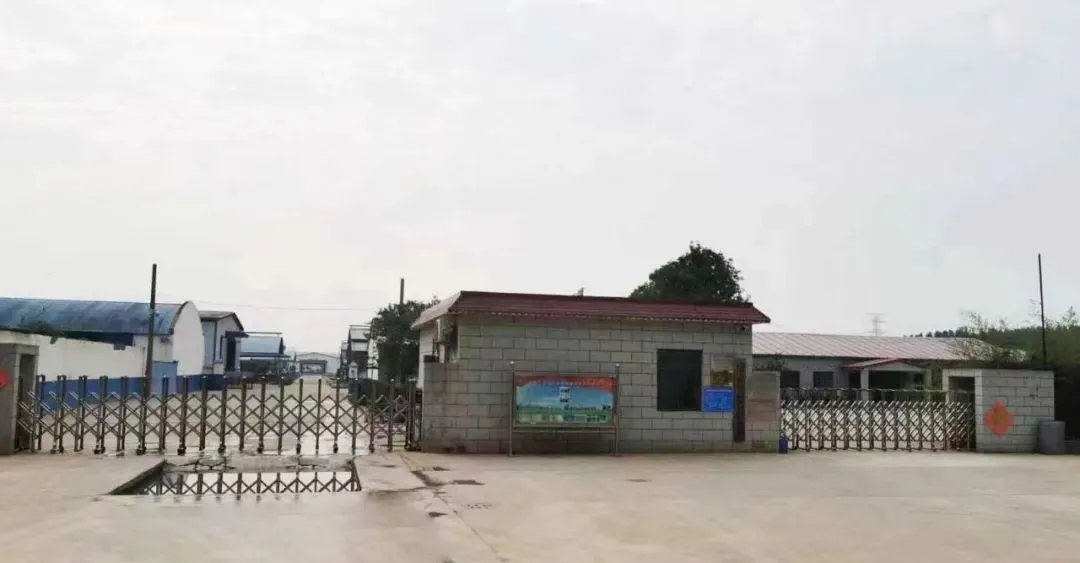 1736412021171073.jpg c-4.jpg