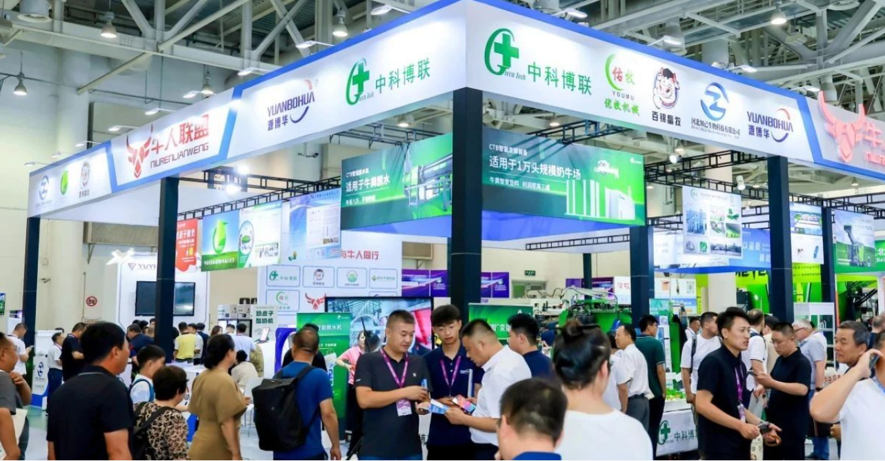 1754619554780270.png 奶大-4.png